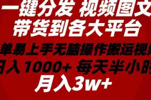 (10667期)2024年 一键分发带货图文视频 简单易上手 无脑赚收益 每天半小时日入1…