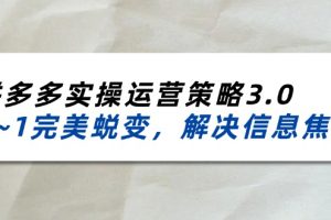(11658期)2024_2025拼多多实操运营策略3.0,0~1完美蜕变,解决信息焦虑(38节)
