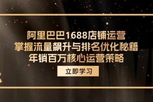 (12184期)阿里巴巴1688店铺运营,掌握流量飙升与排名优化秘籍 年销百万核心运营策略