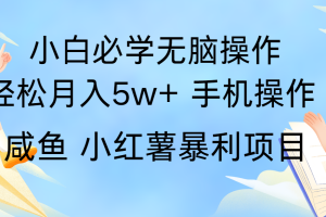 全网首发2024最暴利手机操作项目,简单无脑操作,每单利润最少500+