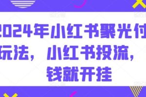 2024年小红书聚光付费玩法，小红书投流，充钱就开挂