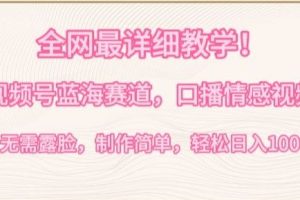 全网最详细教学，视频号蓝海赛道，口播情感视频，无需露脸，制作简单，轻松实现日入1000+【揭秘】