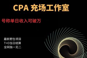 cpa充场工作室,号称单日收入10000+(揭秘)