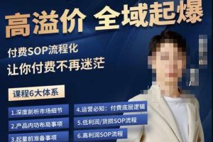 逸风-拼多多高溢价全域起爆,6大课程体系,付费玩法全套实操