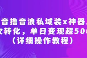 抖音撸音浪私域装x神器二次转化,单日变现超500(详细操作教程)【揭秘】