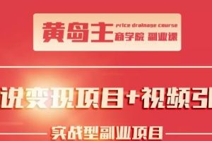 黄岛主小说变现副业项目：老项目新玩法，视频被动引流躺赚模式