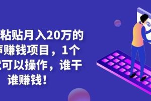 复制粘贴月入20万的闷声赚钱项目，1个人就可以操作，谁干谁赚钱！