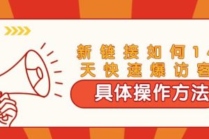 齐论·进阶战术课：拼多多新链接如何14天快速爆访客：具体操作方法（视频教程）