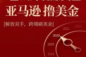 亚马逊撸美金项目，0基础跨境赚美金，解放双手，跨境刷美金【视频课程】