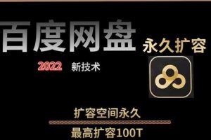 百度网盘无限扩容技术，外面卖399的，无论自己用还是用做引流都可以