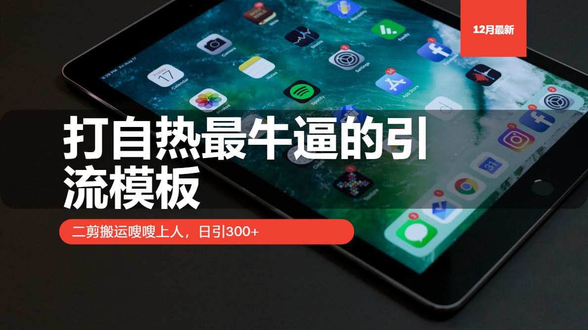 （13654期）打自热最牛逼的引流模板，二剪搬运嗖嗖上人，日引300+-精品资源站