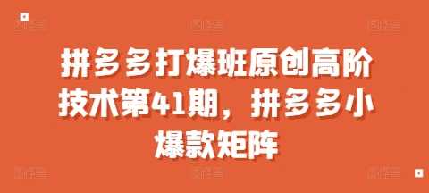 拼多多打爆班原创高阶技术第41期，拼多多小爆款矩阵-精品资源站