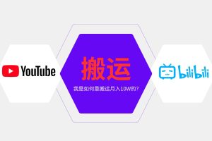 （13795期）纯搬运引流日进300粉，月入10w级教程