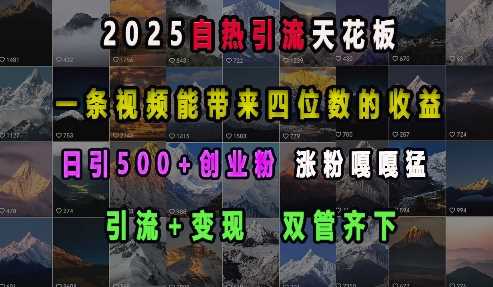 2025自热引流天花板，一条视频能带来四位数的收益，引流+变现双管齐下，日引500+创业粉，涨粉嘎嘎猛-精品资源站