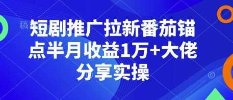 短剧推广拉新番茄锚点半月收益1万+大佬分享实操-精品资源站