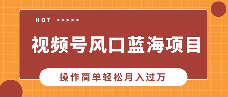 （13945期）视频号风口蓝海项目，中老年人的流量密码，操作简单轻松月入过万-精品资源站