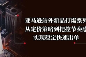 （13970期）亚马逊站外新品打爆系列，从定价策略到把控节奏感，实现稳定快速出单