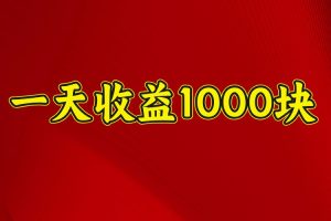 一天收益1000块，2025全网首发