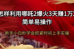 （14245期）怎样利用哪吒2爆火3天赚1万2简单易操作新手小白秒学会抓紧时间上手实操