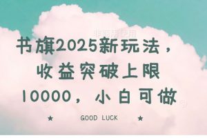 （14519期）书旗2025新玩法，收益突破上限10000，小白可做