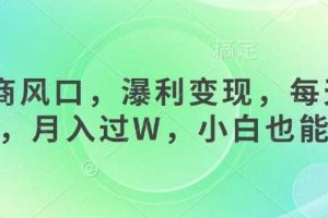 女杏商风口，瀑利变现，每天1小时，月入过W，小白也能做