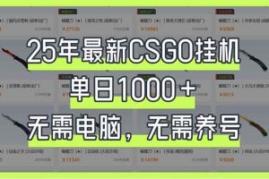 （14178期）25年最新CSGO挂机系统，单日1000+，无需电脑，无需养号，0基础可上手