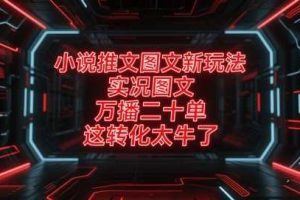 小说推文图文新玩法，实况图文，万播二十单，这转化太牛了！