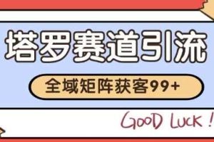 小红书某音塔罗赛道引流获客 自热矩阵日引200+【揭秘】