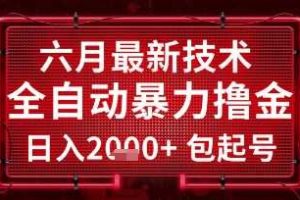 六月最新技术全自动暴力撸金，稳定日入2k+包起号，长期稳定【揭秘】
