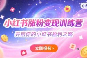 小红书涨粉变现训练营，开启你的小红书盈利之路