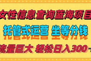 （15216期）稳定日入300＋，小众信息查询蓝海项目，全程懒人式托管，解放你的时间