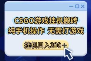 CSGO游戏挂G搬砖，小白纯手机即可操作，不用电脑打游戏，日入3张+，副业网创项目【揭秘】