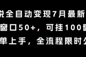 小说全自动变现7月玩法，单窗口50+，可挂100窗口，简单上手，全流程限时公布【揭秘】