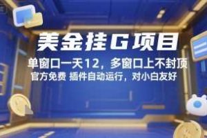 美金挂G项目，单窗口一天12，多窗口上不封顶，官方免费插件自动运行，对小白友好【揭秘】