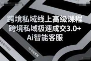 跨境私域线上高级课程，跨境私域极速成交3.0+Ai智能客服