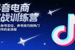 抖音电商实战训练营，涵盖从账号定位、养号技巧到热门内容创作的全流程