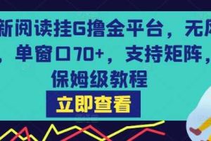 最新阅读挂G撸金平台，无风控，单窗口70+，支持矩阵，保姆级教程【揭秘】