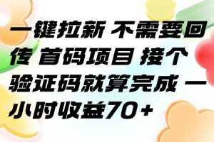 （15588期）一键拉新 不需要回传 首码项目 接个验证码就算完成 一小时收益70+