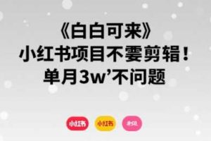 小白可来 小红书项目不需要剪辑 单月3w不是问题