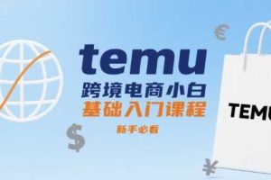 temu跨境电商小白基础入门课程，新手必看