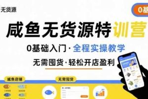 无货源特训营，0基础带你玩转咸鱼无货源