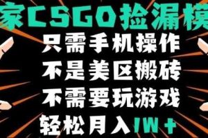 CSGO自动捡漏项目，最新独家玩法，不是美区搬砖，不需要了解和玩游戏，新手小白轻松月入1W+【揭秘】