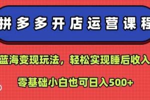 拼多多开店运营课程：蓝海变现玩法，轻松实现睡后收入，零基础小白也可日入5张