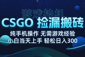9月最新游戏搬砖，CSGO纯挂机，不需要玩游戏，实现真挂机，月入1W+