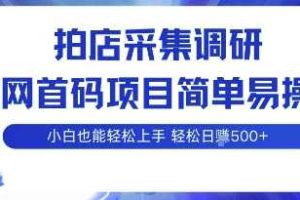 拍店采集调研，全网首码项目，简单易操作， 小白也能轻松上手，多账号操作，轻松日入5张【揭秘】