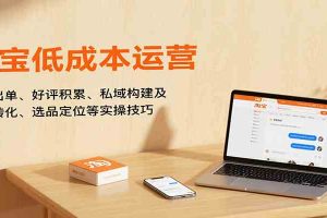 淘宝低成本运营,新店出单、好评积累、私域构建及流量转化、选品定位等(更新9月)