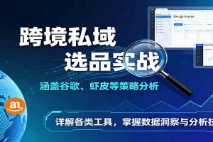 跨境私域选品实战:涵盖谷歌、虾皮等策略分析,详解各类工具,掌握数据洞察与分析技巧