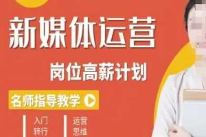 新媒体运营高薪升核培养计划，入门-转行-进阶