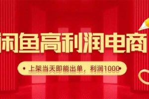 （16286期）闲鱼卖爆款货源，每天利润1000，上架即出单
