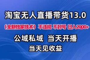 淘宝无人直播13.0，公域私域技术，不封号，不违规布局下半年旺季赛道，日入1K+（独家技术）【揭秘】